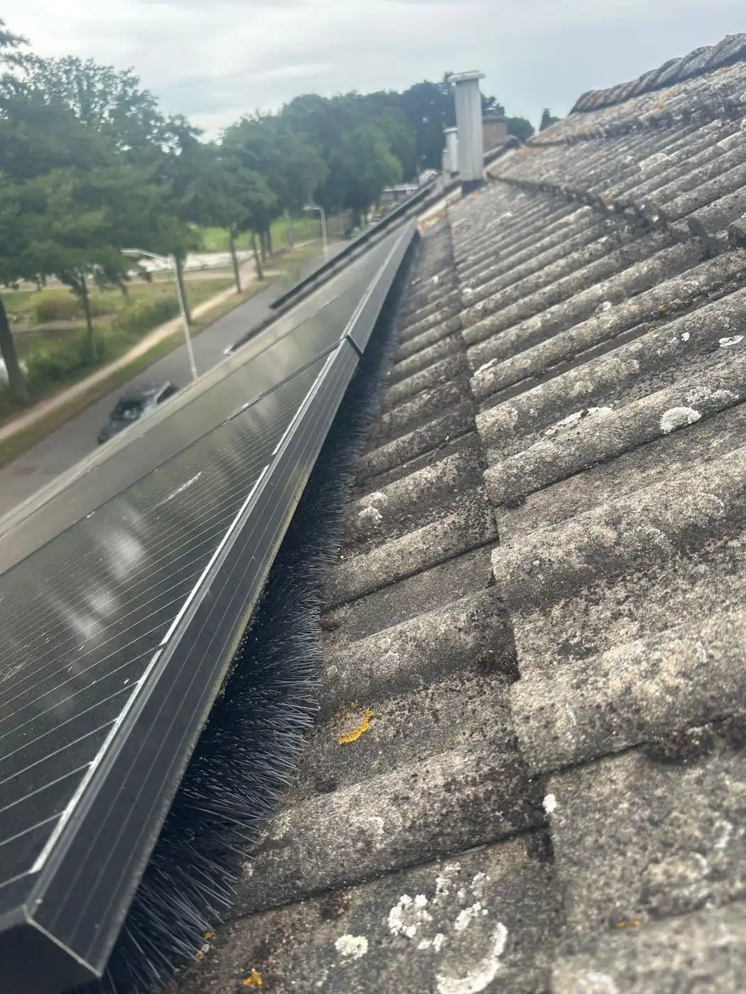 Borstel langs een rij zonnepanelen boven een woonstraat