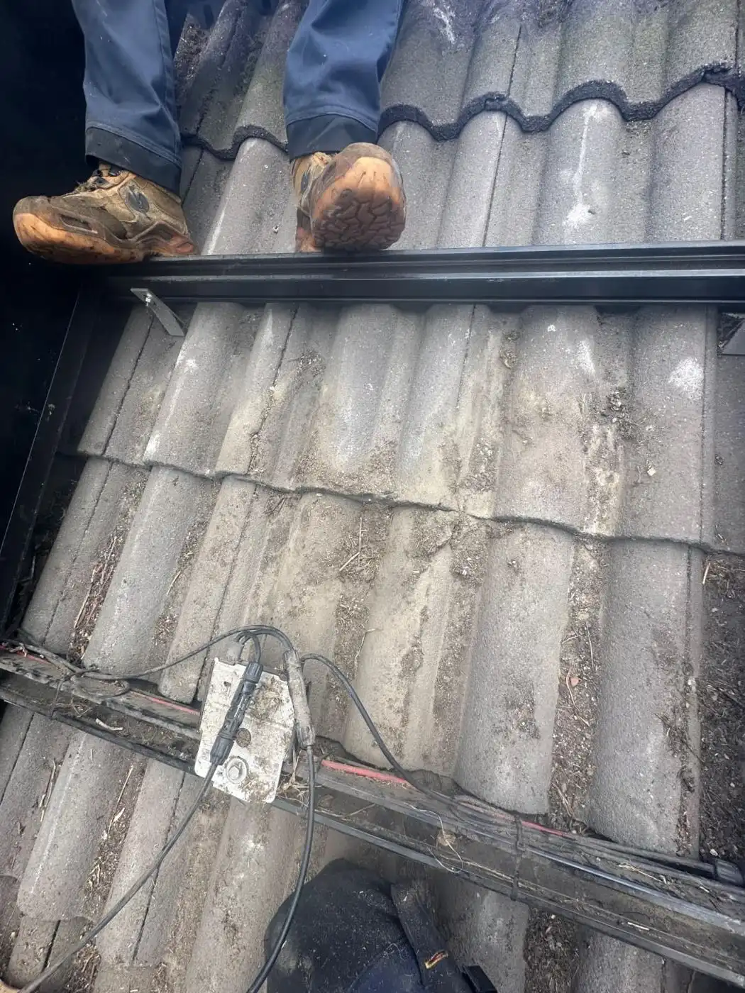 Dezelfde plek onder het paneel na reiniging, nest verwijderd