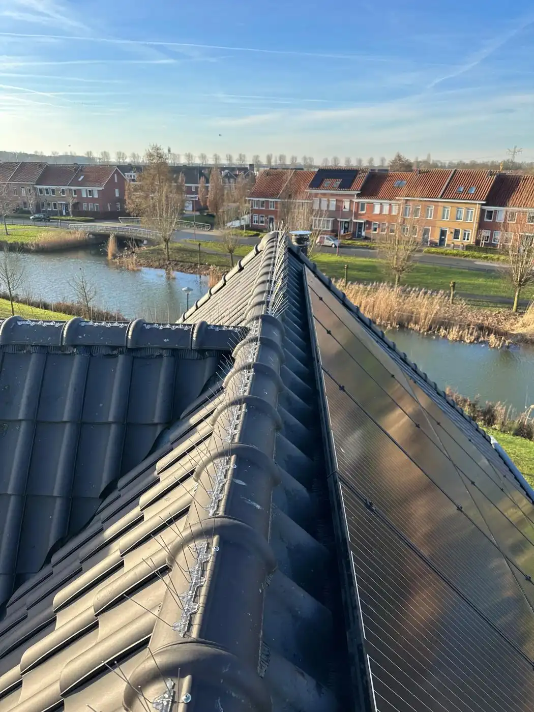 Dak met zonnepanelen, borstels langs de panelen en pinnen op de nok, met uitzicht over het water